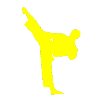 Polep vozidla Taekwondo 002 levá (05 - žlutá citron) SAMOLEPKA NA AUTO, NÁLEPKA, FÓLIE, POLEP, TUNING, VLASTNÍ TEXT, TISK, AUTOSAMOLEPKY.cz, POLEPY, OBRÁZEK, LOGO, 3D STICKERS