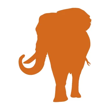 Samolepící dekorace Slon 010 levá (26 - oříšková) SAMOLEPKA NA AUTO, NÁLEPKA, FÓLIE, POLEP, TUNING, VLASTNÍ TEXT, TISK, AUTOSAMOLEPKY.cz, POLEPY, OBRÁZEK, LOGO, 3D STICKERS