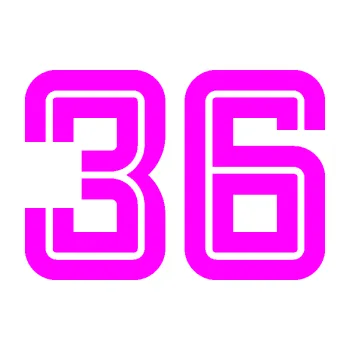 Polep vozidla Startovní číslo 36 typ 7 (72 - Fluorescentní růžová) SAMOLEPKA NA AUTO, NÁLEPKA, FÓLIE, POLEP, TUNING, VLASTNÍ TEXT, TISK, AUTOSAMOLEPKY.cz, POLEPY, OBRÁZEK, LOGO, 3D STICKERS