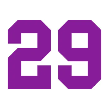 Polep vozidla Startovní číslo 29 (14 - fialová) SAMOLEPKA NA AUTO, NÁLEPKA, FÓLIE, POLEP, TUNING, VLASTNÍ TEXT, TISK, AUTOSAMOLEPKY.cz, POLEPY, OBRÁZEK, LOGO, 3D STICKERS