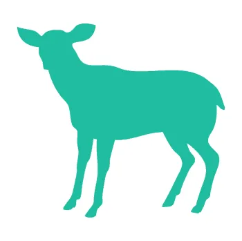 Samolepící dekorace Srna 001 levá (25 - tyrkysová) SAMOLEPKA NA AUTO, NÁLEPKA, FÓLIE, POLEP, TUNING, VLASTNÍ TEXT, TISK, AUTOSAMOLEPKY.cz, POLEPY, OBRÁZEK, LOGO, 3D STICKERS