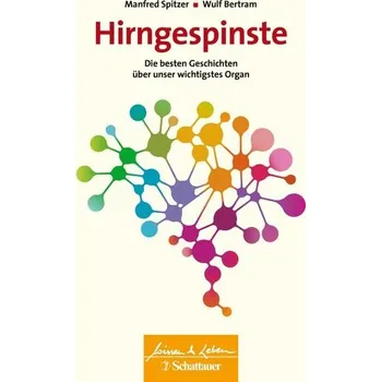 Hirngespinste - Spitzer, Manfred