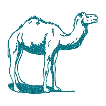 Samolepící dekorace SAMOLEPKA Velbloud 001 pravá (92 - Ultra Metalic tyrkysová) NA AUTO, NÁLEPKA, FÓLIE, POLEP, TUNING, VLASTNÍ TEXT, TISK, AUTOSAMOLEPKY.cz, POLEPY, OBRÁZEK, LOGO, SAMOLEPKY