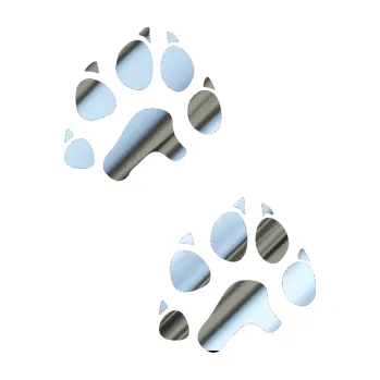 samolepka Tlapky 003 (80 - chrom fólie stříbrná zrcadlová) SAMOLEPKA NA AUTO, NÁLEPKA, FÓLIE, POLEP, TUNING, VLASTNÍ TEXT, TISK, AUTOSAMOLEPKY.cz, POLEPY, OBRÁZEK, LOGO, 3D STICKERS