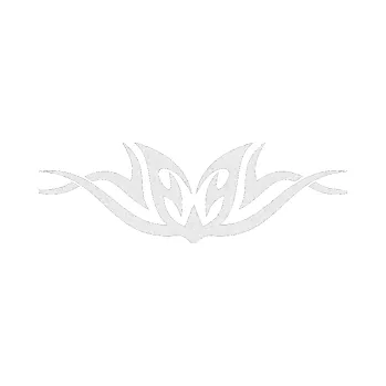 Polep vozidla SAMOLEPKA Tetování 097 (84 - Ultra Metalic bílá) NA AUTO, NÁLEPKA, FÓLIE, POLEP, TUNING, VLASTNÍ TEXT, TISK, AUTOSAMOLEPKY.cz, POLEPY, OBRÁZEK, LOGO, SAMOLEPKY