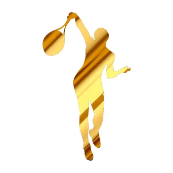 Polep vozidla Tenista 015 levá (81 - chrom fólie zlatá zrcadlová) SAMOLEPKA NA AUTO, NÁLEPKA, FÓLIE, POLEP, TUNING, VLASTNÍ TEXT, TISK, AUTOSAMOLEPKY.cz, POLEPY, OBRÁZEK, LOGO, 3D STICKERS