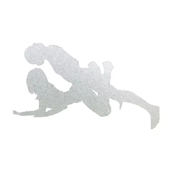 Polep vozidla Sexy siluety 033 (60 - pískované sklo) SAMOLEPKA NA AUTO, NÁLEPKA, FÓLIE, POLEP, TUNING, VLASTNÍ TEXT, TISK, AUTOSAMOLEPKY.cz, POLEPY, OBRÁZEK, LOGO, 3D STICKERS