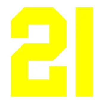 Polep vozidla Startovní číslo 21 (05 - žlutá citron) SAMOLEPKA NA AUTO, NÁLEPKA, FÓLIE, POLEP, TUNING, VLASTNÍ TEXT, TISK, AUTOSAMOLEPKY.cz, POLEPY, OBRÁZEK, LOGO, 3D STICKERS