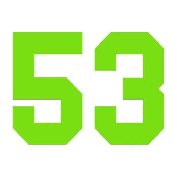 Polep vozidla Startovní číslo 53 (04 - zelená kawasaki) SAMOLEPKA NA AUTO, NÁLEPKA, FÓLIE, POLEP, TUNING, VLASTNÍ TEXT, TISK, AUTOSAMOLEPKY.cz, POLEPY, OBRÁZEK, LOGO, 3D STICKERS