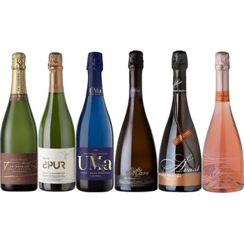 Degustační set šumivých vín Giró Ribot Excelsus 6x 0,75 l (set)