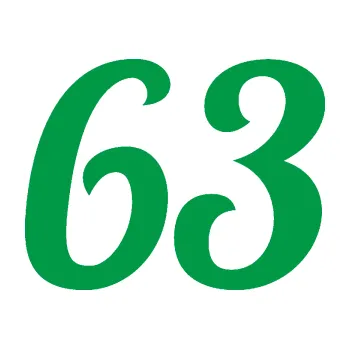 Polep vozidla Startovní číslo 63 typ 3 (12 - zelená) SAMOLEPKA NA AUTO, NÁLEPKA, FÓLIE, POLEP, TUNING, VLASTNÍ TEXT, TISK, AUTOSAMOLEPKY.cz, POLEPY, OBRÁZEK, LOGO, 3D STICKERS