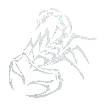 Polep vozidla SAMOLEPKA Štír 017 levá (51 - 3D karbon bílý) NA AUTO, NÁLEPKA, FÓLIE, POLEP, TUNING, VLASTNÍ TEXT, TISK, AUTOSAMOLEPKY.cz, POLEPY, OBRÁZEK, LOGO, SAMOLEPKY