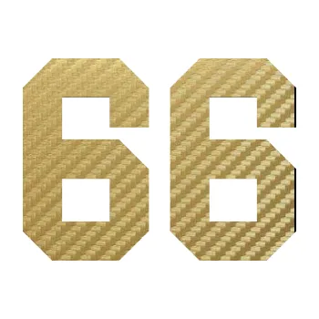 Polep vozidla Startovní číslo 66 (59 - 3D karbon zlatý) SAMOLEPKA NA AUTO, NÁLEPKA, FÓLIE, POLEP, TUNING, VLASTNÍ TEXT, TISK, AUTOSAMOLEPKY.cz, POLEPY, OBRÁZEK, LOGO, 3D STICKERS