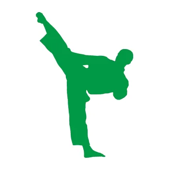 Polep vozidla Taekwondo 002 levá (12 - zelená) SAMOLEPKA NA AUTO, NÁLEPKA, FÓLIE, POLEP, TUNING, VLASTNÍ TEXT, TISK, AUTOSAMOLEPKY.cz, POLEPY, OBRÁZEK, LOGO, 3D STICKERS