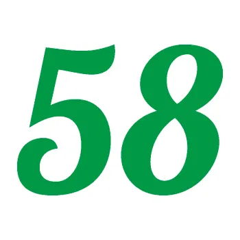 Polep vozidla Startovní číslo 58 typ 3 (12 - zelená) SAMOLEPKA NA AUTO, NÁLEPKA, FÓLIE, POLEP, TUNING, VLASTNÍ TEXT, TISK, AUTOSAMOLEPKY.cz, POLEPY, OBRÁZEK, LOGO, 3D STICKERS