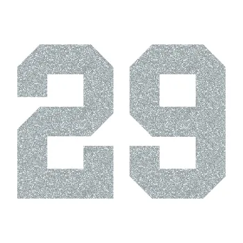 Polep vozidla Startovní číslo 29 (91 - Ultra Metalic stříbrná metalíza) SAMOLEPKA NA AUTO, NÁLEPKA, FÓLIE, POLEP, TUNING, VLASTNÍ TEXT, TISK, AUTOSAMOLEPKY.cz, POLEPY, OBRÁZEK, LOGO, 3D STICKERS