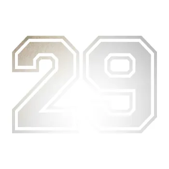 Polep vozidla SAMOLEPKA Startovní číslo 29 typ 4 (82 - odrazková reflexní bílá) NA AUTO, NÁLEPKA, FÓLIE, POLEP, TUNING, VLASTNÍ TEXT, TISK, AUTOSAMOLEPKY.cz, POLEPY, OBRÁZEK, LOGO, SAMOLEPKY
