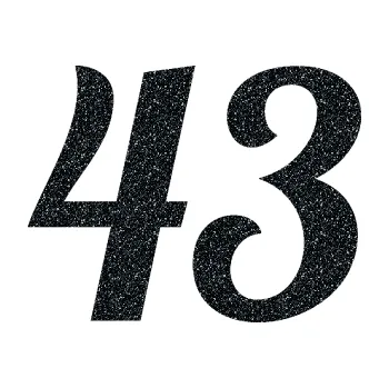 Polep vozidla Startovní číslo 43 typ 3 (85 - Ultra Metalic černá) SAMOLEPKA NA AUTO, NÁLEPKA, FÓLIE, POLEP, TUNING, VLASTNÍ TEXT, TISK, AUTOSAMOLEPKY.cz, POLEPY, OBRÁZEK, LOGO, 3D STICKERS