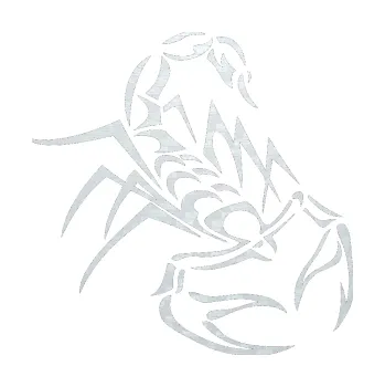 Polep vozidla SAMOLEPKA Štír 017 pravá (51 - 3D karbon bílý) NA AUTO, NÁLEPKA, FÓLIE, POLEP, TUNING, VLASTNÍ TEXT, TISK, AUTOSAMOLEPKY.cz, POLEPY, OBRÁZEK, LOGO, SAMOLEPKY