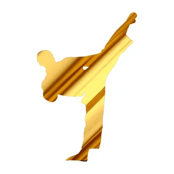 Polep vozidla Taekwondo 002 pravá (81 - chrom fólie zlatá zrcadlová) SAMOLEPKA NA AUTO, NÁLEPKA, FÓLIE, POLEP, TUNING, VLASTNÍ TEXT, TISK, AUTOSAMOLEPKY.cz, POLEPY, OBRÁZEK, LOGO, 3D STICKERS