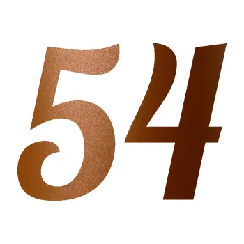 Polep vozidla SAMOLEPKA NA AUTO Startovní číslo 54 typ 3 (44 - měděná metalíza) NÁLEPKA, FÓLIE, POLEP, TUNING, VLASTNÍ TEXT, TISK, AUTOSAMOLEPKY.cz, POLEPY, OBRÁZEK, LOGO, SAMOLEPKY