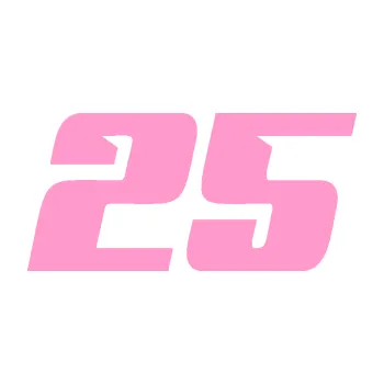 Polep vozidla Startovní číslo 25 typ 6 (24 - světle růžová) SAMOLEPKA NA AUTO, NÁLEPKA, FÓLIE, POLEP, TUNING, VLASTNÍ TEXT, TISK, AUTOSAMOLEPKY.cz, POLEPY, OBRÁZEK, LOGO, 3D STICKERS