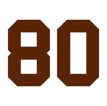 Polep vozidla Startovní číslo 80 (15 - hnědá) SAMOLEPKA NA AUTO, NÁLEPKA, FÓLIE, POLEP, TUNING, VLASTNÍ TEXT, TISK, AUTOSAMOLEPKY.cz, POLEPY, OBRÁZEK, LOGO, 3D STICKERS