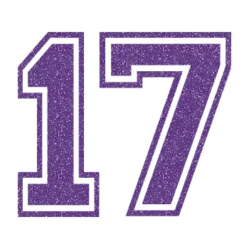 Polep vozidla Startovní číslo 17 typ 4 (87 - Ultra Metalic fialová) SAMOLEPKA NA AUTO, NÁLEPKA, FÓLIE, POLEP, TUNING, VLASTNÍ TEXT, TISK, AUTOSAMOLEPKY.cz, POLEPY, OBRÁZEK, LOGO, 3D STICKERS