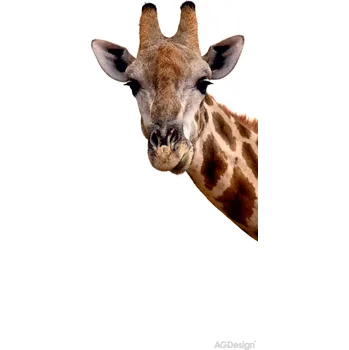 Fototapeta FTN V 2851 Obrazová vliesová fototapeta dveřní FTNV2851 Žirafa, velikost 90 x 202 cm