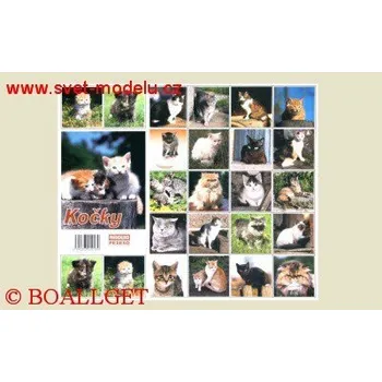 Pexeso Pexeso Kočky 33327