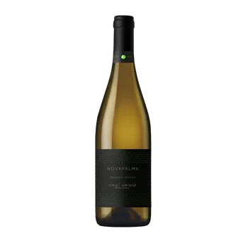 Víno Novapalma přírodní Pinot Grigio Friuli D.O.C. 0,75l
