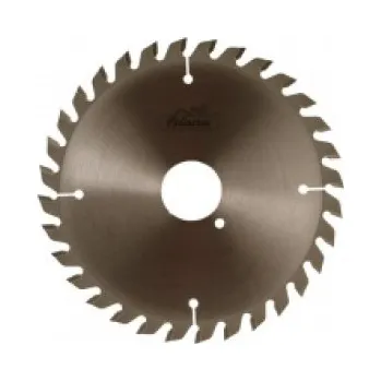 Pilový kotouč Pilový kotouč SK 200x3,2/2,2x50 5396 32 WZ Rmax 15mm - PILANA