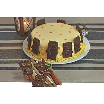 Kuchyňská sůl Forma na pralinky a čokoládky - sovy, 16x 9 ml - SF199 Funny Owls Choco Tags | SILIKOMART, EasyChoc