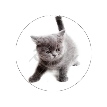 Jedlá dekorace na dort KOTĚ, VARIANTA Jedlý papír 225