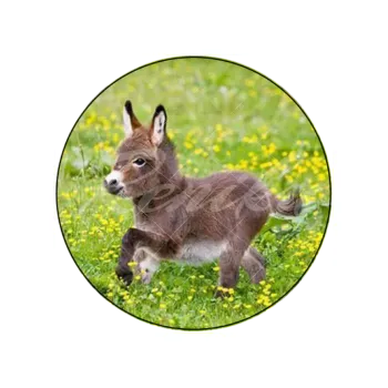 Jedlá dekorace na dort OSLÍK, VARIANTA Jedlý papír 447