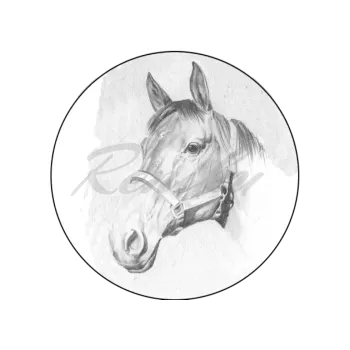 Jedlá dekorace na dort HLAVA KONĚ, VARIANTA Jedlý papír 230