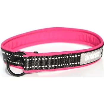 Obojek pro psa Aminela Sport & City Aminela obojek polostahovací Sport & City 25mm/48cm + 5cm - malinová