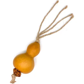 Hračka pro psa 1ks Aumüller dentální hračka dýně z aktinidie stříbrné