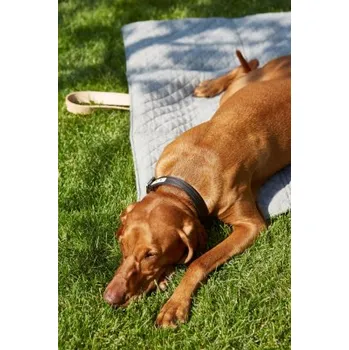 Pelíšek pro psa Cestovní deka pro psy Cosmo hnědá S