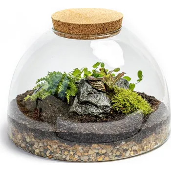 Váza Gardners Skleněná dóza Aurinia s korkovým špuntem, 31x20 cm - osázené vlhkomilně