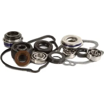 C&L COMPANIES Water pump kit HOT RODS WPK0013