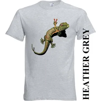 Chlapecké tričko detske-levne-bavlnene-tricko-potisk-jesterka-hipie Barva: Heather grey - vřesově šedá, velikost: 164