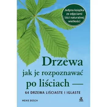 Drzewa jak je rozpoznawać po liściach - Bosch Meike