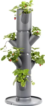 Truhlík Gusta Garden Sissi Strawberry samozavlažovací truhlík 4 patra antracit