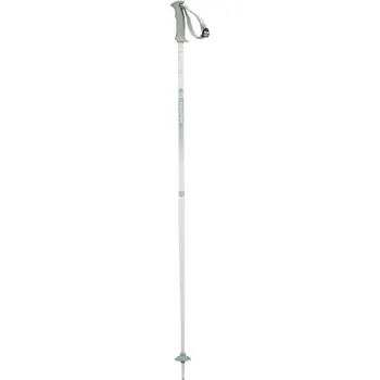 Sjezdová hůlka SALOMON hole Northpole lady grey 125cm