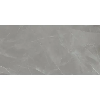 Obklad Grey Pulpis pol - dlaždice rektifikovaná 119,8x239,8 šedá lesklá 6004081