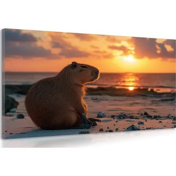 Obraz Dovido Obraz kapybara při západu slunce