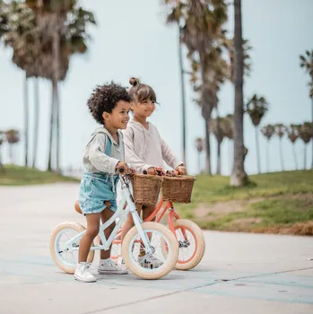 Odrážedlo Banwood dětské odrážedlo Coral BW-F1G Od 3 let