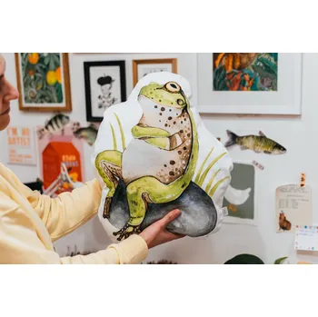 Dekorativní polštářek ePipí Polštář Žabka 40x28 cm