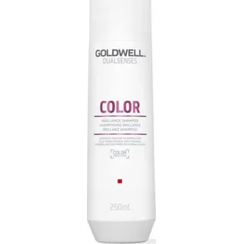 Vlasová kosmetika Goldwell Šampon pro normální až jemné barvené vlasy Dualsenses Color (Brilliance Shampoo) 250 ml + 2 měsíce na vrácení zboží